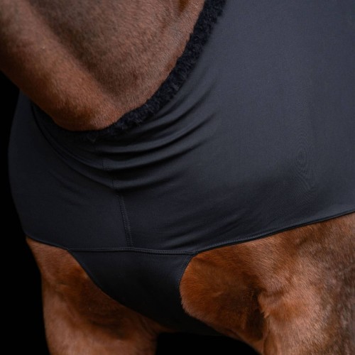 Protection de Poitrail et d'épaule...