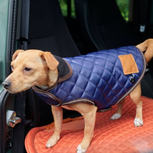 Manteau pour petit chien HVPBobby...