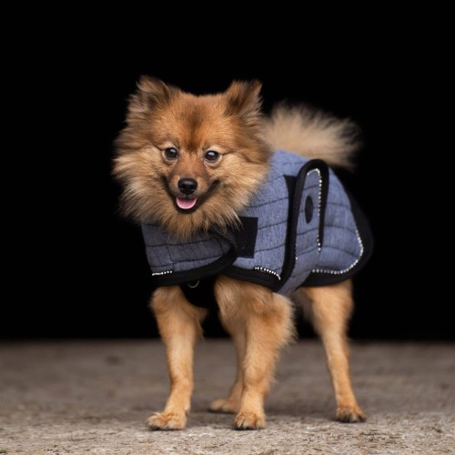 Cappotto per cani HVPFranka HV-Polo