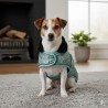 Jack Russell IRHAmbient Imperail-Riding-Mantel