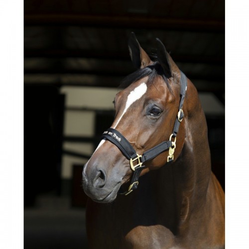 Back On TrackHalter ® werano Reflectante