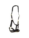Back On TrackHalter ® werano Reflectante