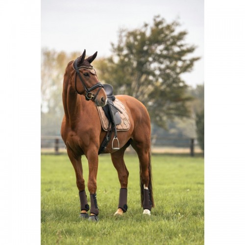 Back On Track Zadeldek mist collectie