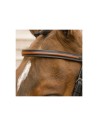 Bridle Lami-Cell Two Tone muso combinato