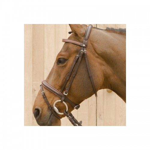 Bridle Lami-Cell Two Tone...