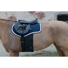 Respektgurt von Lamicell