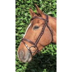 Bridon à pont Raphael TDETKandare mit Raphael TDET-Brücke