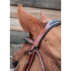 Bridon Lautrec soft TdeT 2