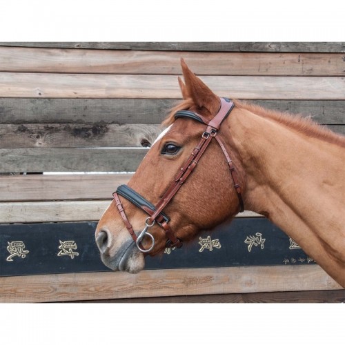 Lautrec zacht hoofdstel TdeT