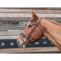 Cabezada Lautrec soft snaffle TdeT