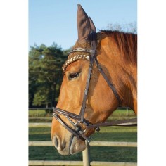 Bridon Botticelli TDET