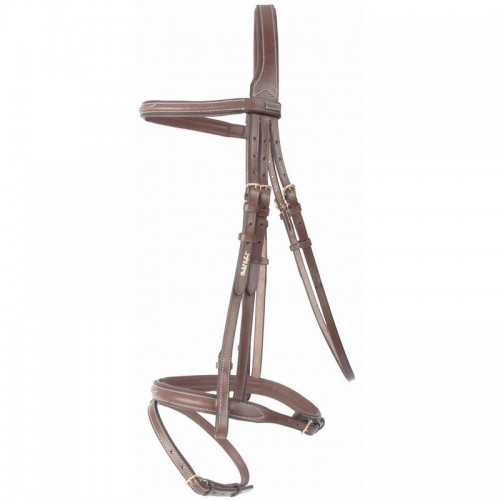 TdeT Bridon cuir Kessel