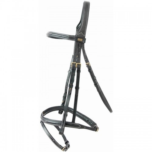 TdeT Bridon cuir Kessel
