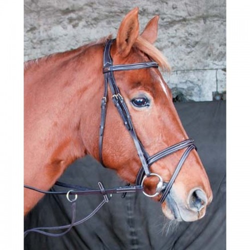 TdeT Bridon cuir Kessel