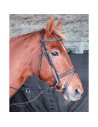 TdeT Bridon cuir Kessel