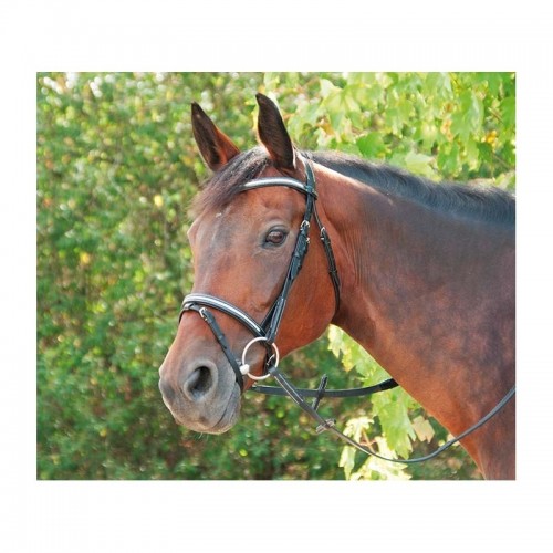 Bridle PISSARRO TDET Bridle PISSARRO TDET