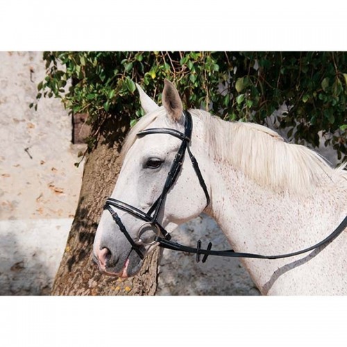 Bridle PISSARRO TDET Bridle PISSARRO TDET