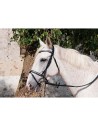 Bridle PISSARRO TDET