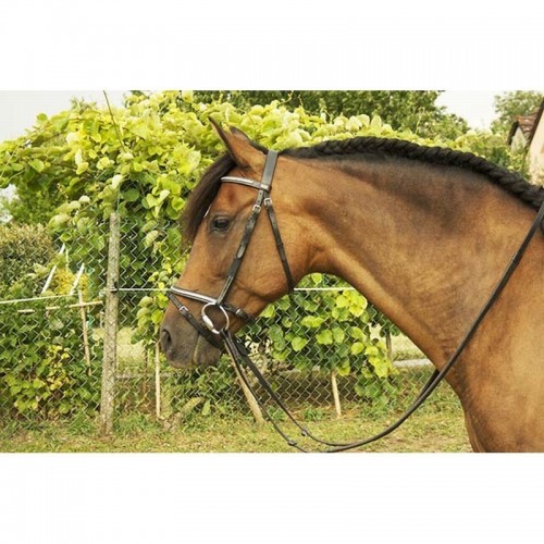 Bridle Clincher argento Goya TDET