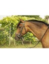 Bridle Clincher argento Goya TDET