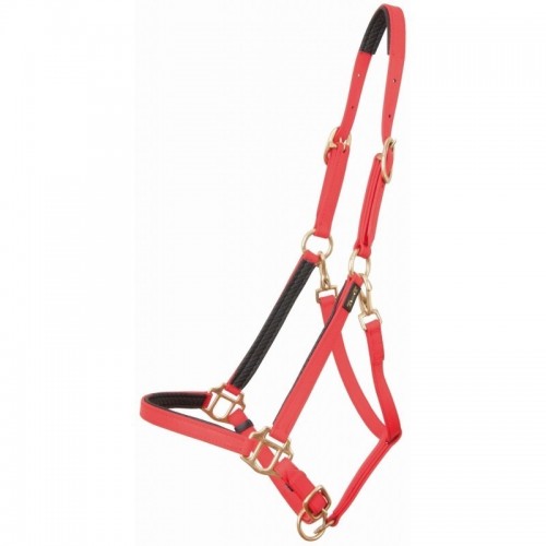 TdeT Biotack Halster