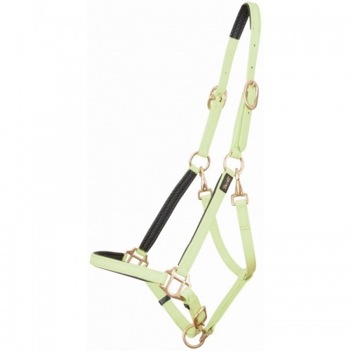 TdeT Biotack Halster