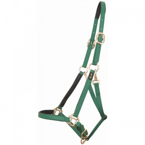 TdeT Licol Biotack TdeT Licol Biotack