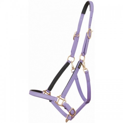 TdeT Biotack Halster