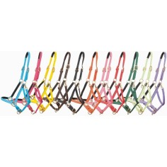 TdeT Biotack Halster