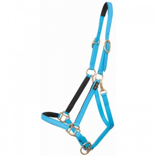 TdeT Cabestro Biotack