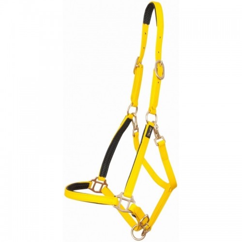 TdeT Licol Biotack TdeT Licol Biotack