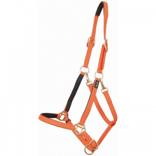 TdeT Biotack Halster