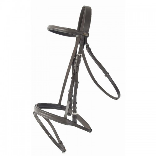 TdeT Bridon cuir Sisley