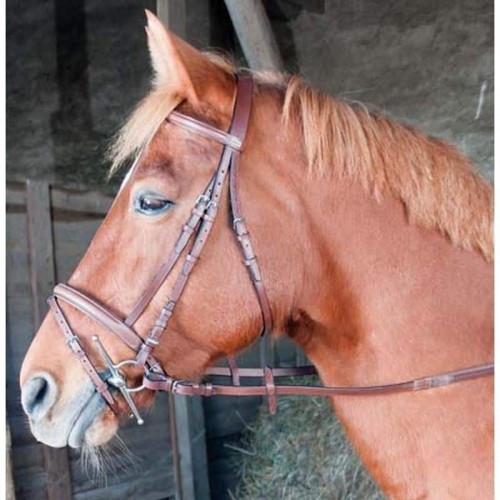TdeT Bridon cuir Sisley