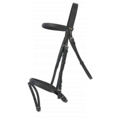 TdeT Bridon cuir Sisley 2