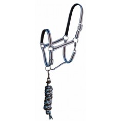 TdeT Licol doublé cuir et longe US