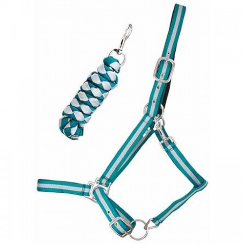 TdeT Licol doublé cuir et longe US TdeT Licol doublé cuir et longe US