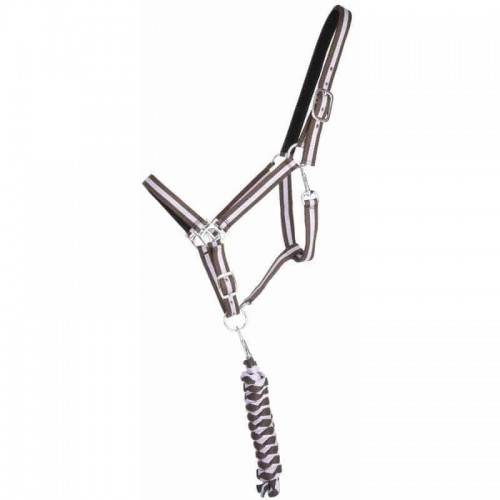 TdeT Briglia doppio cuoio e longe US