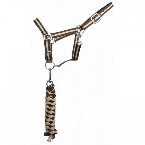 TdeT Licol doublé cuir et longe US TdeT Licol doublé cuir et longe US