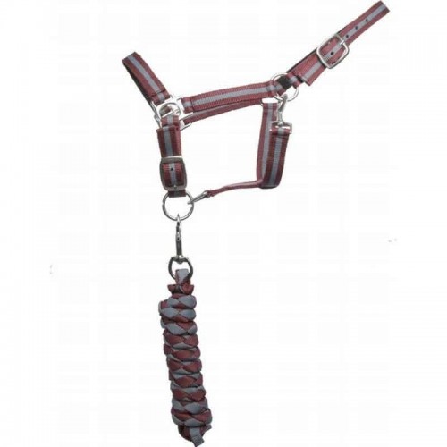 TdeT Licol doublé cuir et longe US TdeT Licol doublé cuir et longe US