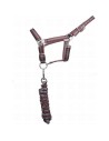 TdeT Lederunterlegtes Halfter und Führstrick US