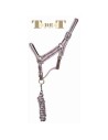 TdeT Met leer gevoerd halster met US longeerteugel