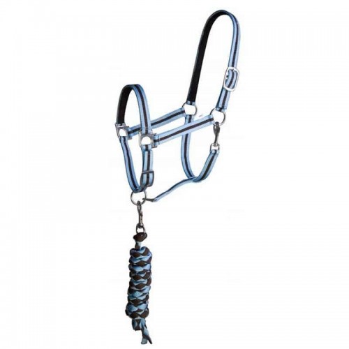 TdeT Licol doublé cuir et longe US TdeT Licol doublé cuir et longe US