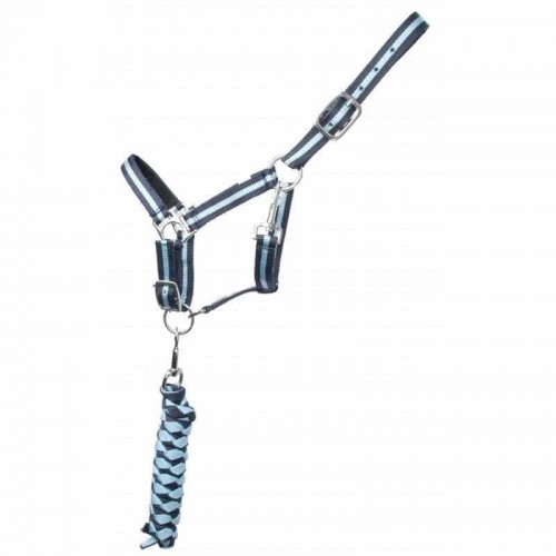 TdeT Met leer gevoerd halster met US...