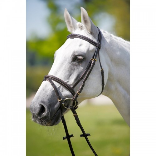 Bridle mit Ziernähten aus Leder...