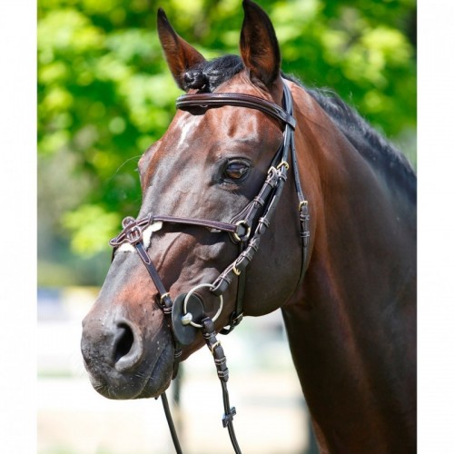 Bridle in leather and patent leather...