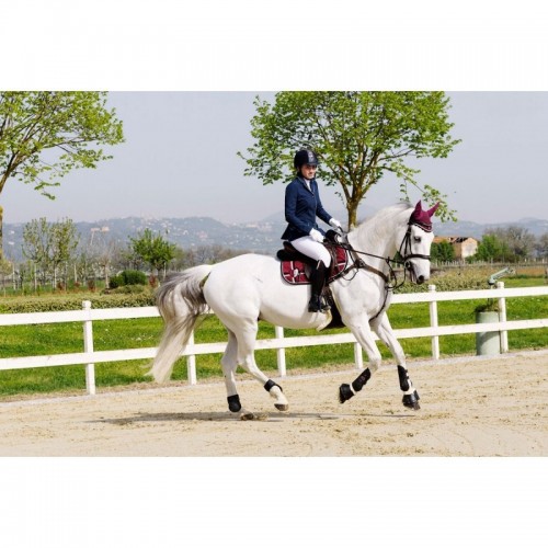 Guêtres Tattini Pro Guêtres Tattini Pro