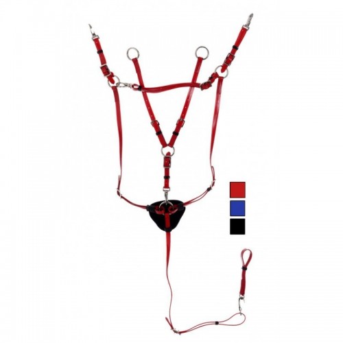 Collier de chasse + martingale...