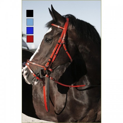 Bridle PVC Daslo Tattini