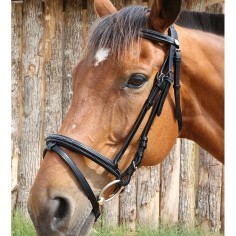 DMH Equitation Briglia londinese fantasia Majestic